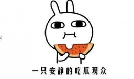 有没有网红吃瓜的网站啊,揭秘热门网站瓜田